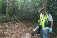 Polisi sedang melakukan olah TKP.