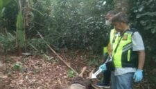 Polisi sedang melakukan olah TKP.