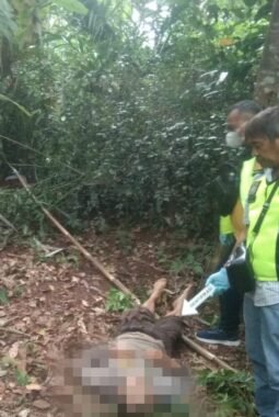 berita-rekomendasi-foto