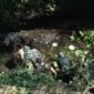 Anggota Kodim 0714/Salatiga turun ke Sungai Kridanggo dalam acara Resik-resik Kali.